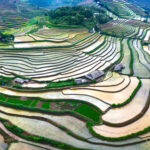 Đường đá cổ Pavi - Bước chân trên mây mùa 3